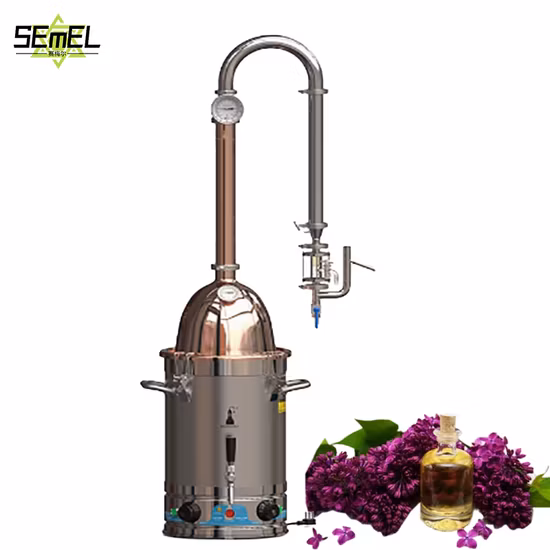 Wholesale Natural Plant Oil Ginger Oil Ginger Essential Oil