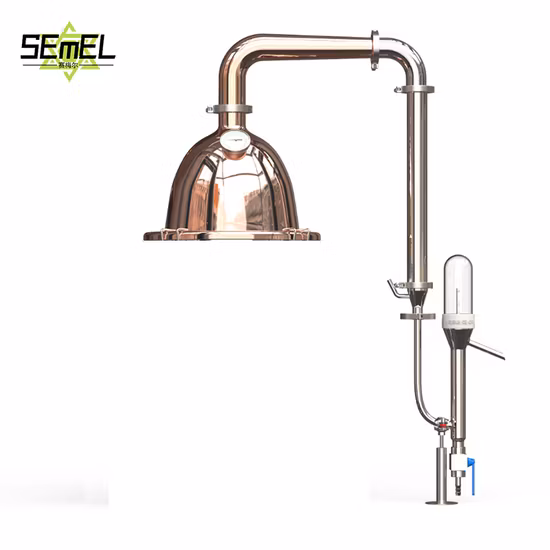 Olio vegetale naturale all'ingrosso Olio di zenzero Olio essenziale di zenzero