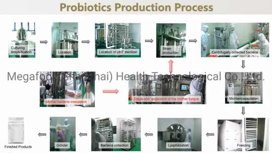 Integratore alimentare alimentare Lactobacillus Paracasei Probiotici in polvere